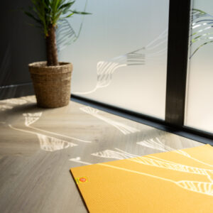 Pack Découverte- 5 cours