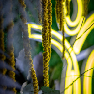 Pack Boost - 10 cours